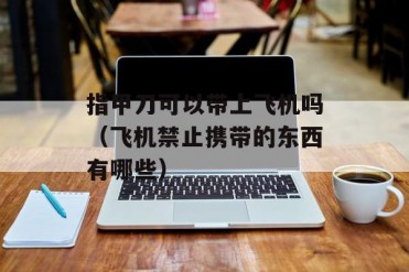 指甲刀可以带上飞机吗(飞机禁止携带的东西有哪些)