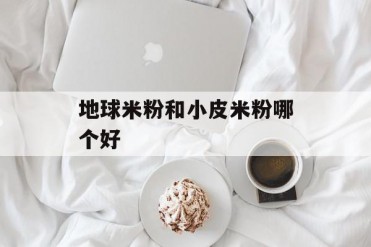 地球米粉和小皮米粉哪个好