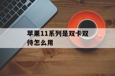 苹果11系列是双卡双待怎么用