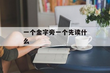 一个金字旁一个先读什么