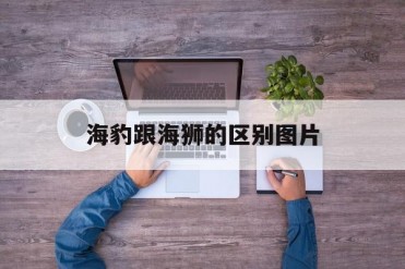 海豹跟海狮的区别图片