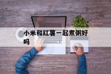 小米和红薯一起煮粥好吗