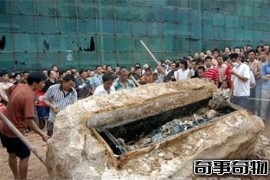 2005年四川南充僵尸事件 揭秘南充文物局领导烧尸体真相