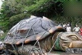 1965黄河巨龟哪去了 关于黄河国家不敢说的怪事