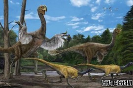 恐龙的演变过程图 槽齿类爬行动-恐龙-鸟类（灭绝加速人类进化）