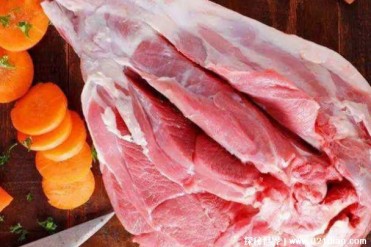 世界上十大高蛋白食物 大豆蛋白质含量高(理想食品)