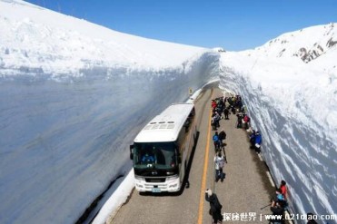 世界上最让人惊讶的十条公路 但尼丁鲍德温街(最...