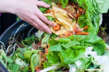 世界食物浪费率最高国 平均每人浪费100公斤(马来...