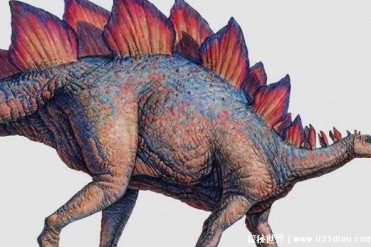 世界上最聪明的恐龙 大脑运转速度快(冥河龙)