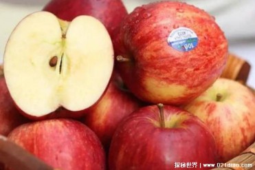 世界上最好吃的十种苹果 日本青森世界一号(口感...