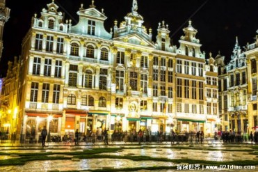 世界上十大最佳节日彩灯观赏地 奥地利维也纳(充...