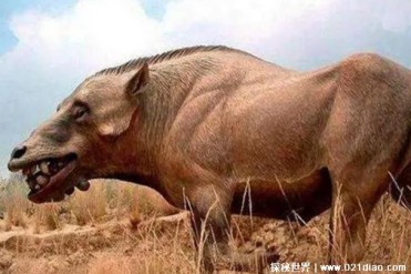 世界上最大的猪 上古巨猪长3米重达2000斤(比较罕见)