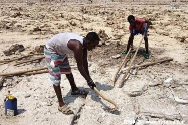 世界上水最昂贵的国家 科威特水比油贵(比较缺水)