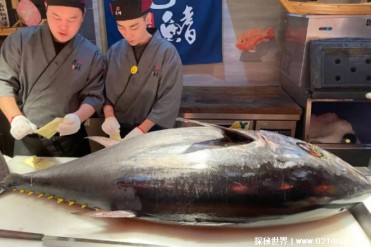 世界上最贵的金枪鱼 蓝鳍金枪鱼3亿元一条(比较珍贵)