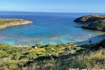 世界十大气候宜人的城市 哥伦比亚麦德林舒适(四...