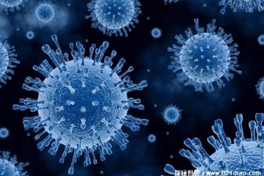 世界十大最恐怖的传染病 马尔堡病毒第一(死亡率高)