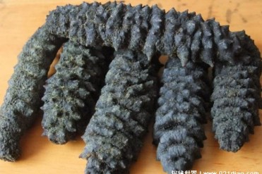 世界上个体最大海参 梅花参被称为海参之王(营养...