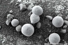  好奇号火星车发现神秘生物体 火星上的蘑菇(重大突破)