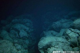  马里亚纳海沟的沟底有没有大型生物 不会存在(没有氧气)