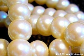  世界上最长的珍珠项链 长度达到2278.5米重169.89公斤(历时半年)