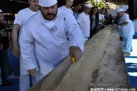  世界上最大的面包 由300多名面点师合作完成(长1700米)