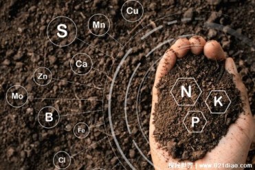 土壤中微生物数量众多的原因 土壤中营养丰富(有...