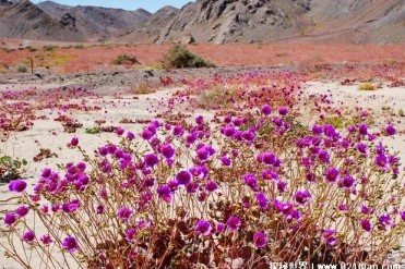 世界上十大罕见自然奇观 间歇泉喷发发生在冰岛(...