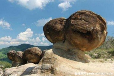 世界上最奇怪的石头 见水后会疯狂生长(会自己移动)