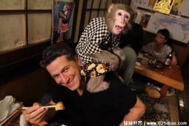 世界上最火的餐厅 两只猴子当服务员的餐厅(生意...