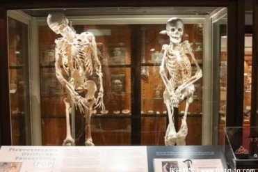 世界上十大惊悚地点 玛丽金街是位于英国(比较恐怖)