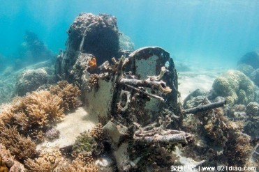 世界上最大水下坟场 特鲁克泻湖士兵遗骸多(比较...