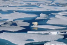  南极冰川融化了多少冰 每年失去约2000亿吨的冰(影响比较大)