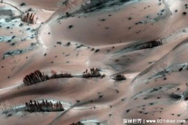  1999年美国探测器拍到火星上有大树 存在争议(令人惊叹)