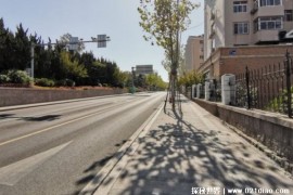  中国街道最干净的城市 非机动车道很少(自行车已消失)