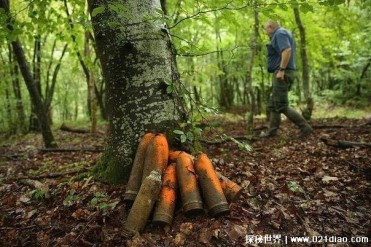 世界上最危险的小镇 法尔肯海恩曾被炮弹攻击(破...