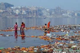  印度恒河水自净化 是一种比较罕见的自然现象(广泛应用)