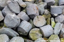  艾尔莎克雷格是鸟类保护区 拥有特殊一种石材(利用价值高)