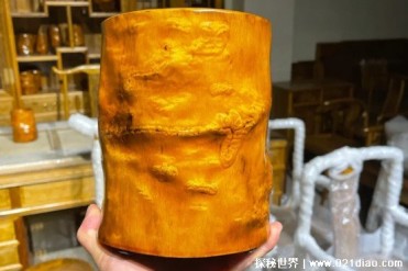 金丝楠木是珍贵的树木 利用价值比较高(质地细腻)