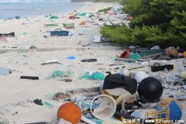 世界上污染最严重的海岛 亨德森岛无人居住(但垃...