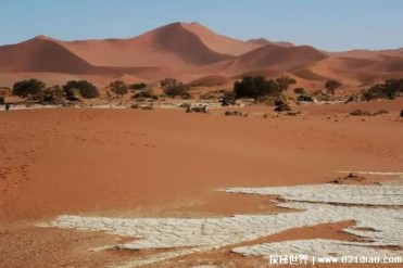 世界上最高的沙丘 苏丝斯黎沙丘高达到325米(色彩...