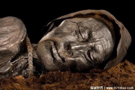  2000年前泥沼中的不腐男尸的死因 至今没有答案(存在争议)