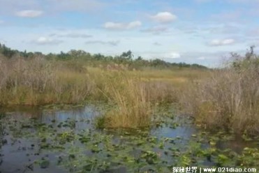 世界上十大著名野生动物园 排名第一位于芬兰(内...