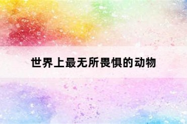 世界上最无所畏惧的动物