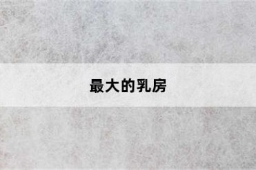 最大的乳房