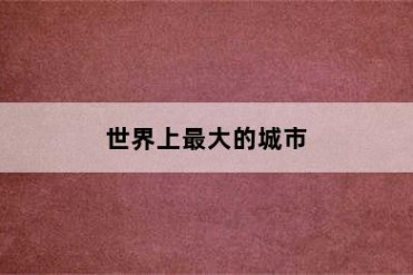 世界上最大的城市
