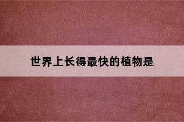 世界上长得最快的植物是