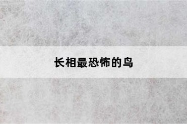 长相最恐怖的鸟