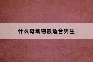 什么母动物最适合男生