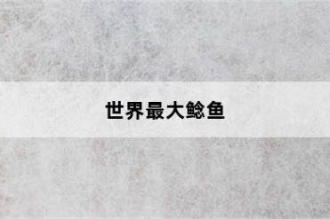 世界最大鲶鱼