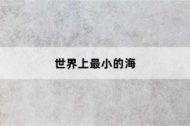世界上最小的海